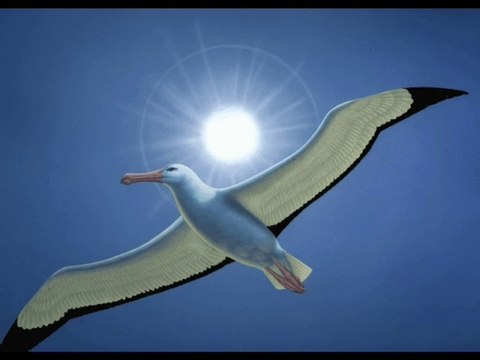 Интересные истории, о которых Вы возможно не слышали.