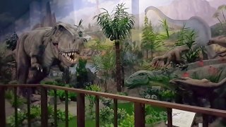 공룡동영상(dinosaur video) 티라노사우르스-살아있는 공룡을 만나다!