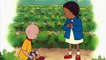 Caillou Goes Strawberry Picking