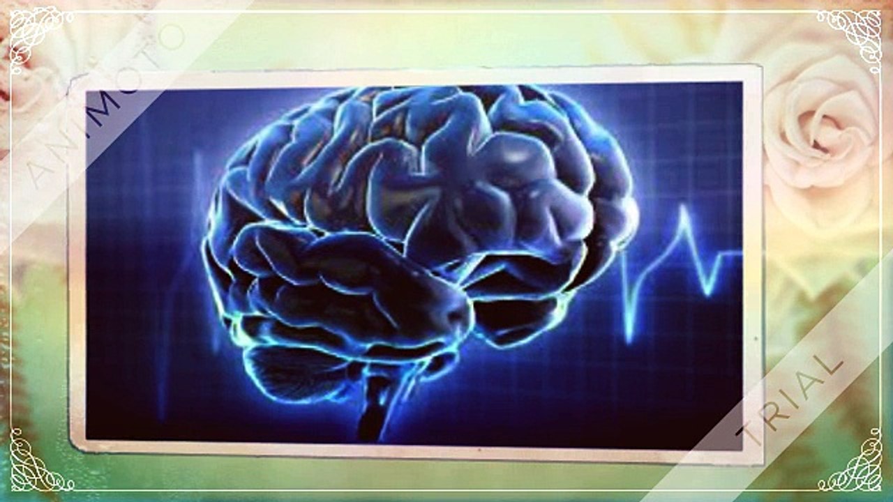 Vitalmood Plus - Increase Your Brain Focus, Intelligence & Productivity!