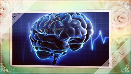 Vitalmood Plus - Increase Your Brain Focus, Intelligence & Productivity!