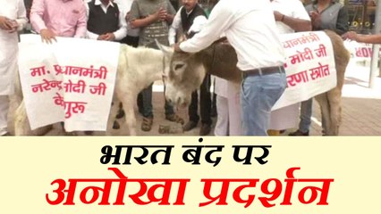 SC/ST का अनोखा विरोध प्रदर्शन, गधे को बताया पीएम मोदी का गुरू