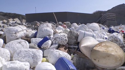 日 해양 미세 플라스틱 농도, 세계 평균의 27배! / YTN