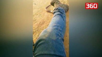 I hyri gjarpëri në pantallona, ja mënyra epike si i shpëtoi pickimit të tij (360video)