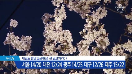 [날씨]나흘 빨리 온 서울 벚꽃…늦은 밤부터 비