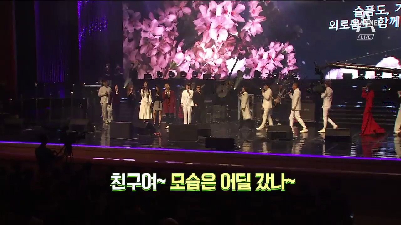 [영상구성]13년 만의 평양공연…김정은 깜짝 관람