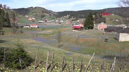 Trabzon Mor Yaylaya Ziyaretçi Akını-Hd