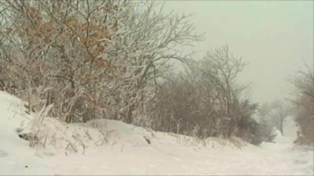 Identificación de alpinistas españoles muertos en avalancha en su etapa final