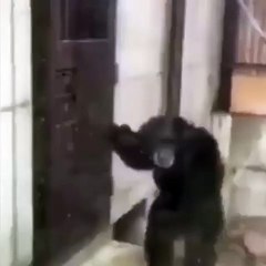 ME when I am Locked out...lol