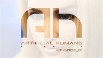 Artificial Humans: The Artificial Companion