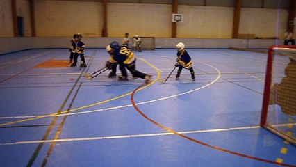 Tournoi Mini-Poussins - Le Loroux Bottereau - 18-02-2018