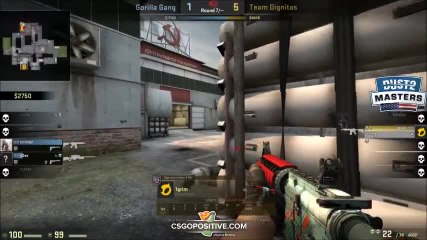 s Gorilla Gang - Dust2.us Masters Semi-Finals Game 3