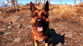 Fallout 4 - Top 5 Dogmeat Fs! (Companion Lore)