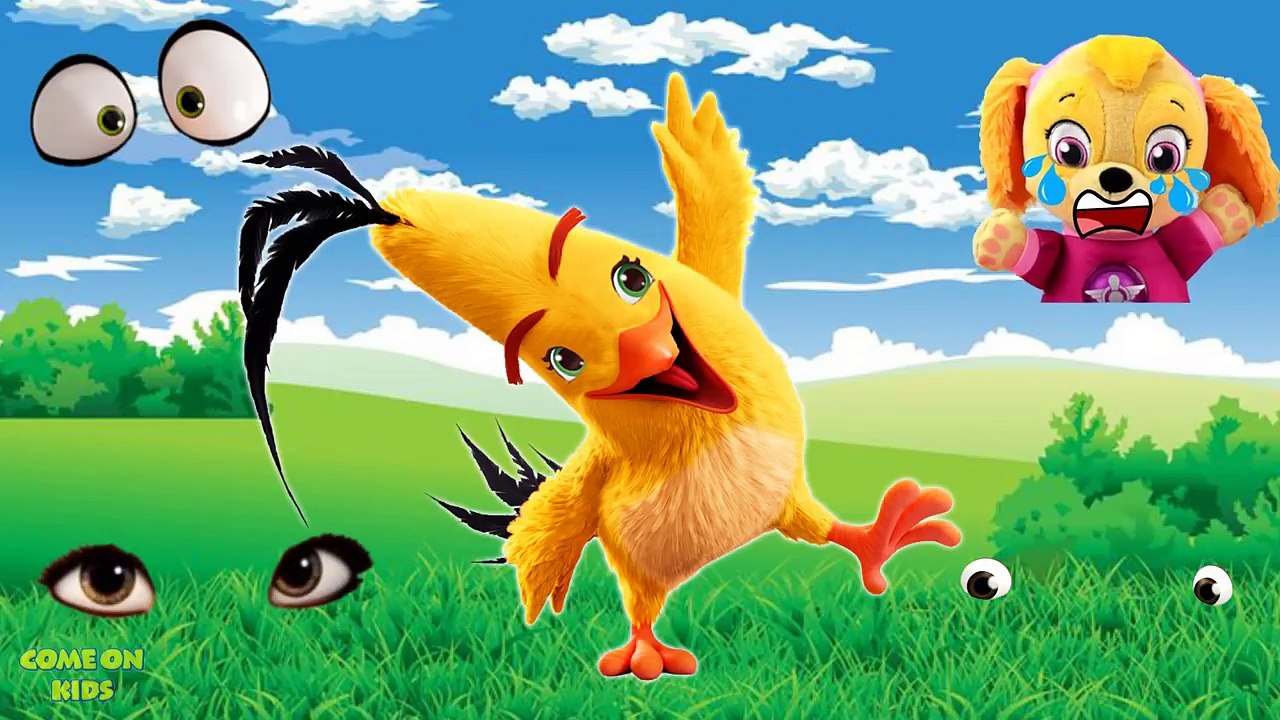 Wrong Eyes Moana, Strawberry Shortcake, Angry Birds, Mike the Knight, Finger Song Nursery Rhymes