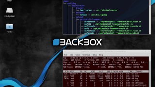 Best Operating Systems for Hacking