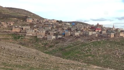Siirt'te Terör Örgütüne Tepki Yürüyüşü