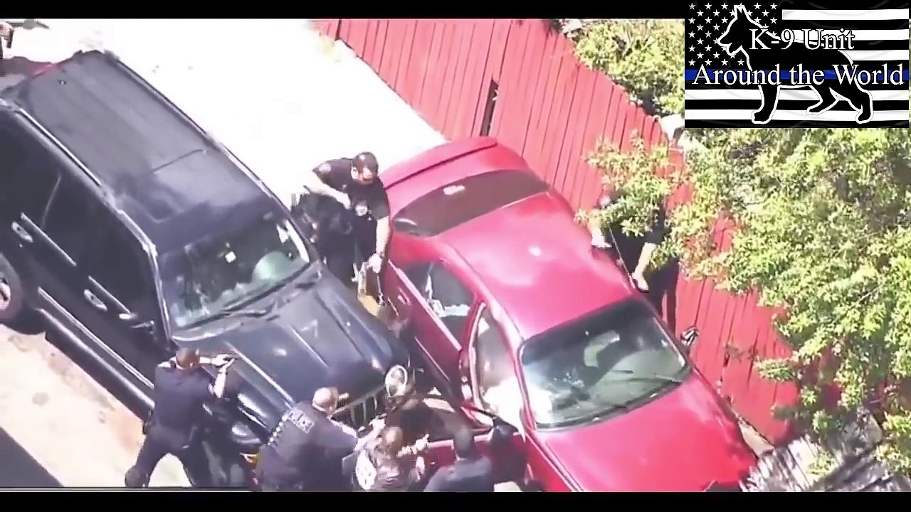 K9s Takes Suspect Down 3