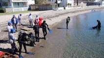 Çevreci köpek, deniz dibi temizliği yapan dalgıçlardan ayrılmadı