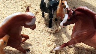 Lost At Sea {Breyer Horse Short Film}