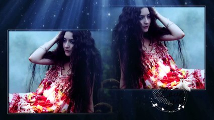 Yıldırım Gürses - Bir Garip Yolcu