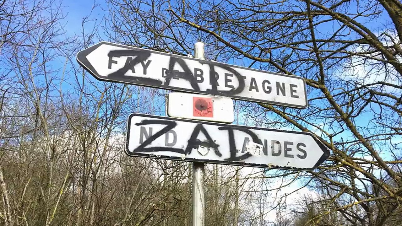 Loire-Atlantique : les zadistes de Notre-Dame-des-Landes manifestent à Nantes