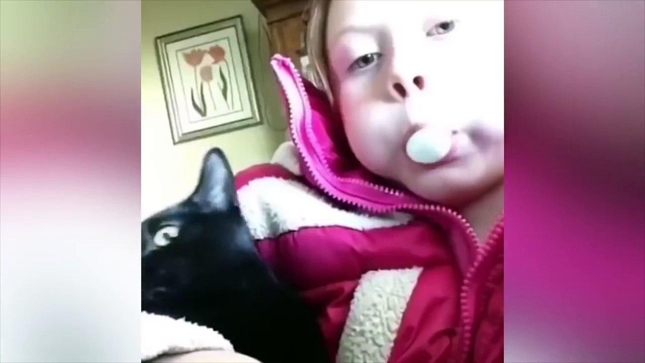 ANIMALS ARE IDIOTS 9!!!