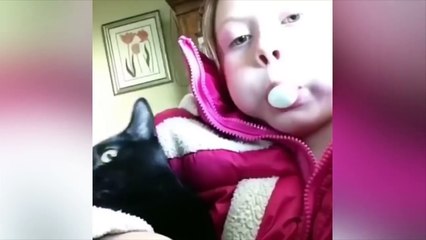 ANIMALS ARE IDIOTS 9!!!