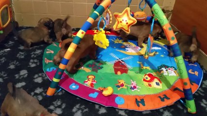 les bébés de LILA ont un mois