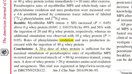 How Much Protein Can You Absorb In One Meal_ (20g_ 30g_ 100g_)