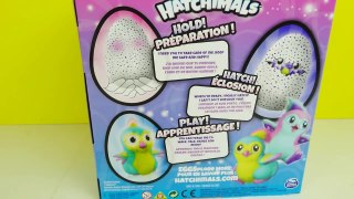 بيضة هاتشيملز مفاجآة بالداخل و بيحكي! Hatchimal Magical Surprise Egg