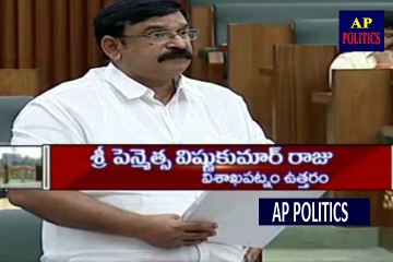 న జుట్టు ఊడిపోతుంది vishnu kumar raju counter to Yanamala Ramakrishnudu Hair -AP Politics