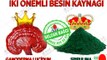 Neden Ganoderma ve Spirulina - Dxn Selcan Bağcı Ekibi #dxntürkiye #dxnnedir #dxn #dxnyorumlar #dxnkahve #dxnürünler #dxnkazanç #dxnganoderma #dxnpaket #dxngano #dxnüyelik  #ganoexcel #dxnkahve #ogansia #kyani #aktar #eczane