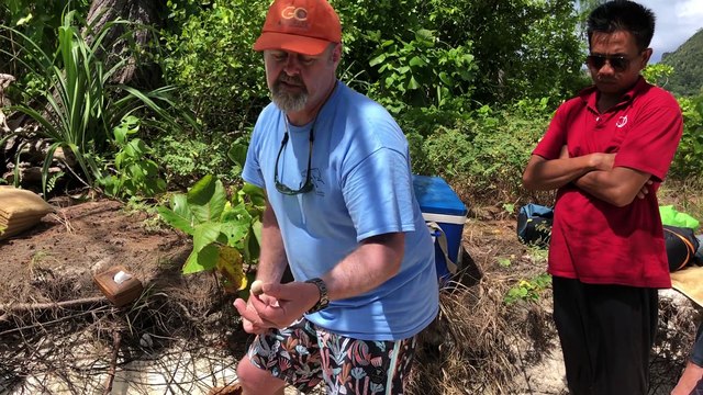 Conservation Spotlight: Oceanic Society