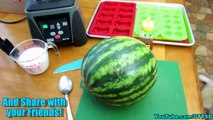 WATERMELON DOG TREAT How to make Frozen DIY Dog Treats | Snacks with the Snow Dogs 34