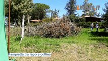 Pasquetta ...Nelle vicinanze ma intensa , tra lago e collina