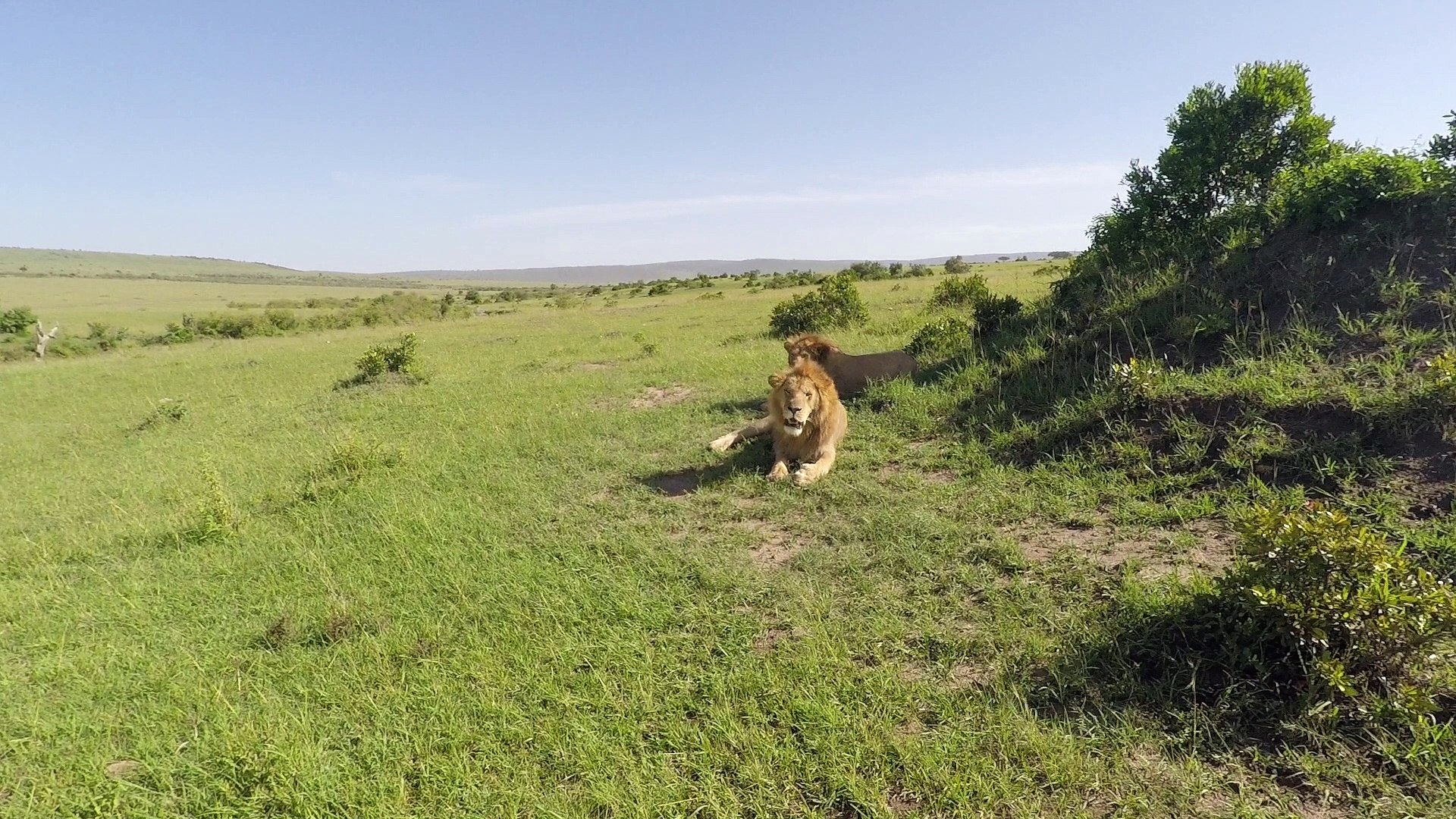 Kenya 2018