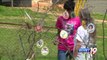 Alabama Woman Remembers Victims of Violence with Easter Decorations