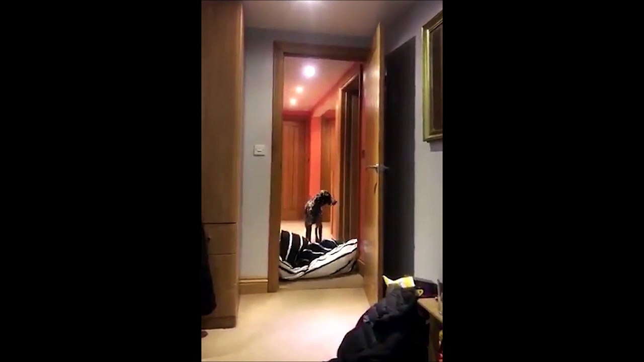 Un tour de magie bluffant...