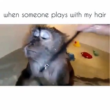 When Someone Plays With My hair - video Dailymotion