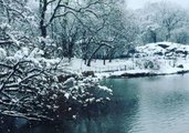 Central Park Snow Total Most for April Storm Since 2003
