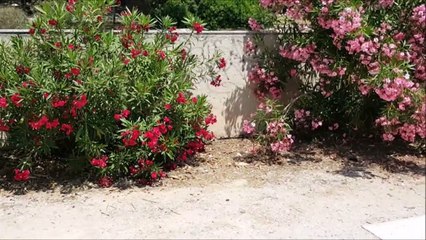 House of Proklos, Athens Greece