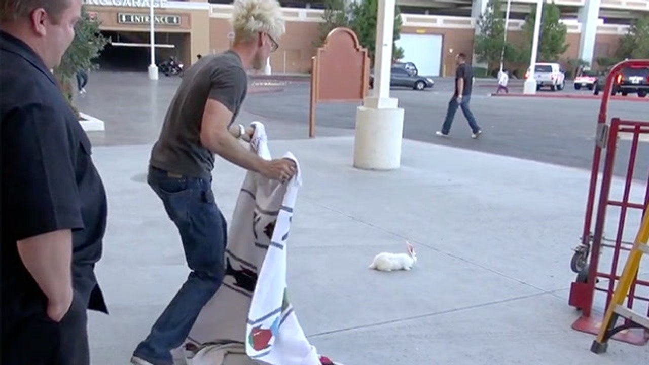 Magic Murray's Magical Bunny Transformation