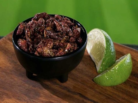 GRASSHOPPERS ARE BACK! Mariners keep crowd favorite on menu for a second season - ABC15 Digital