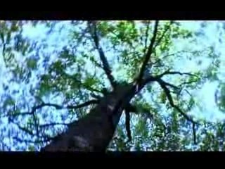 Mendeed - Ignite The Flames