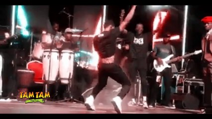 CONCERT DE DEBORDO LEEKUNFA AU PALAIS 2018