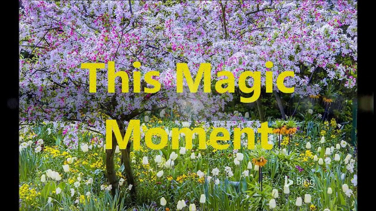 This Magic Moment (September 2007 - November 2007)