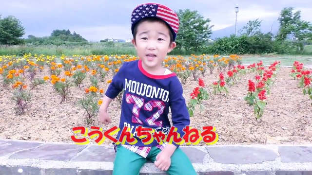 仮面ライダーゴースト変身ベルト DXゴーストドライバー Kamen Rider Ghost Belt