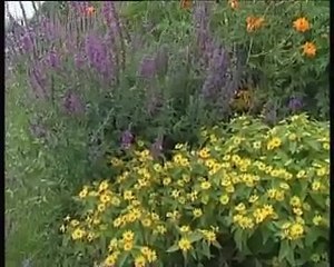 JOURNAL : Journal du vendredi 12 aout 2005