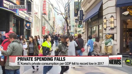 Private consumption per GDP falls to record low in 2017