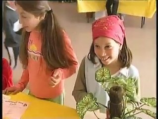 JOURNAL : Journal du jeudi 1er juin 2006